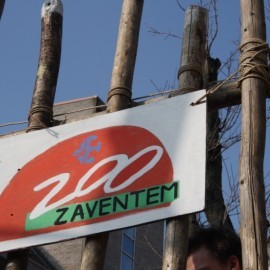 thumb IMG 3680 1024 - Scouts en Gidsen Zaventem 